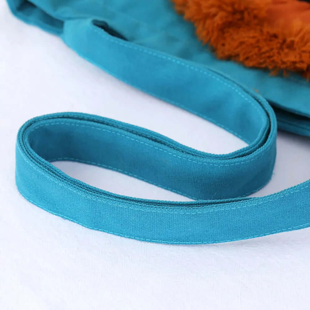 Pet+ Premium Pet Carriers and Travel Accessories