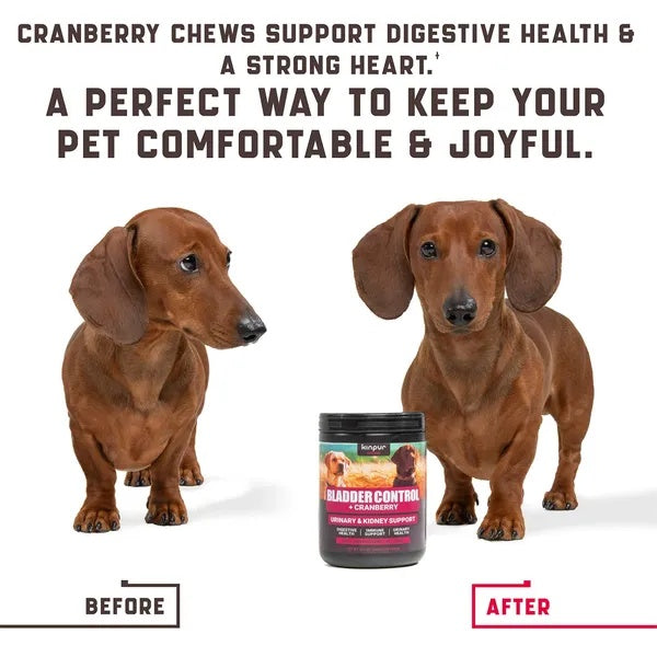 180 Cranberry Chews Dog Cranberry Supplement Natural Aid