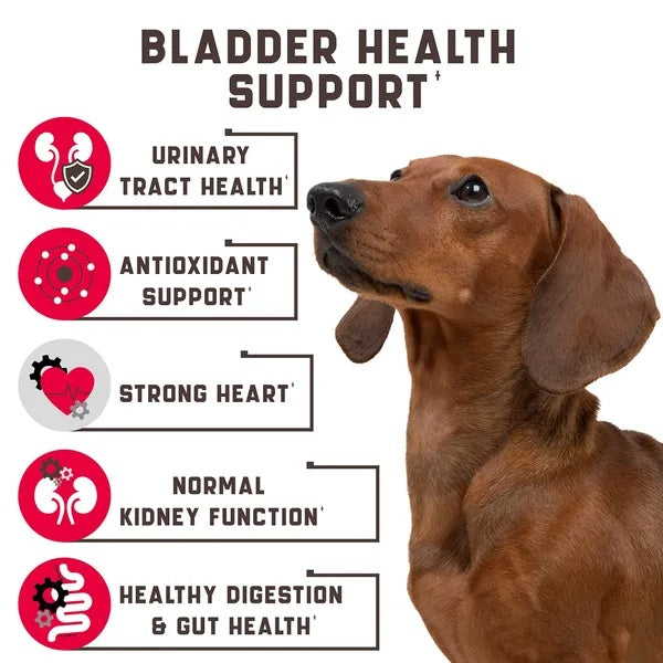 180 Cranberry Chews Dog Cranberry Supplement Natural Aid