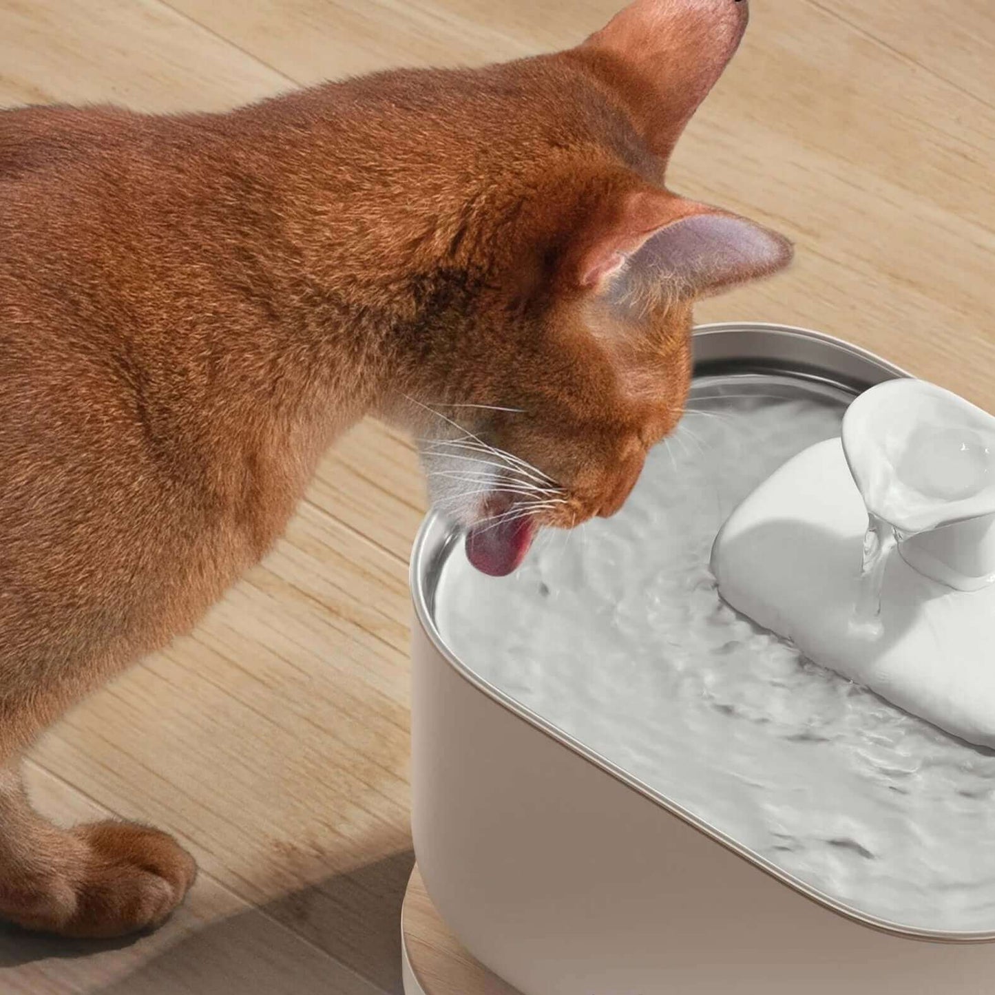 Dockstream Smart Fountain