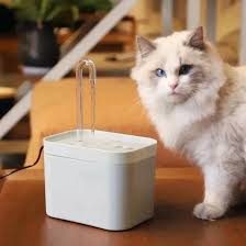 5 Simple Ways to Keep Your Pet Hydrated and Healthy Every Day