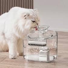 Hydration Matters: Why Pet Water Fountains Are a Game-Changer