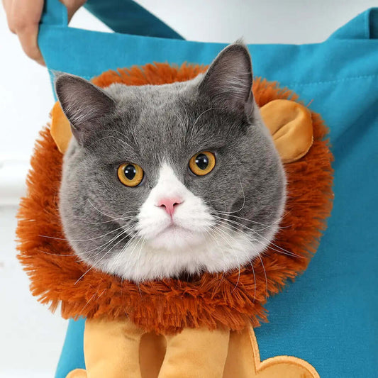 Pet+ Premium Pet Carriers and Travel Accessories