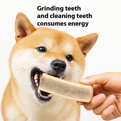 Bite Resistant And Teeth Cleaning Pet Snacks