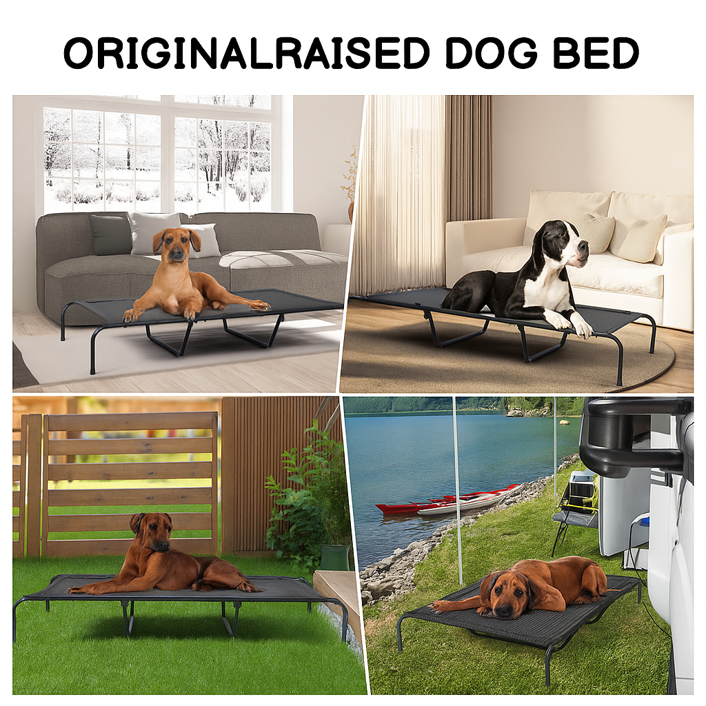 Pet Beds