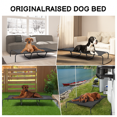Pet Beds