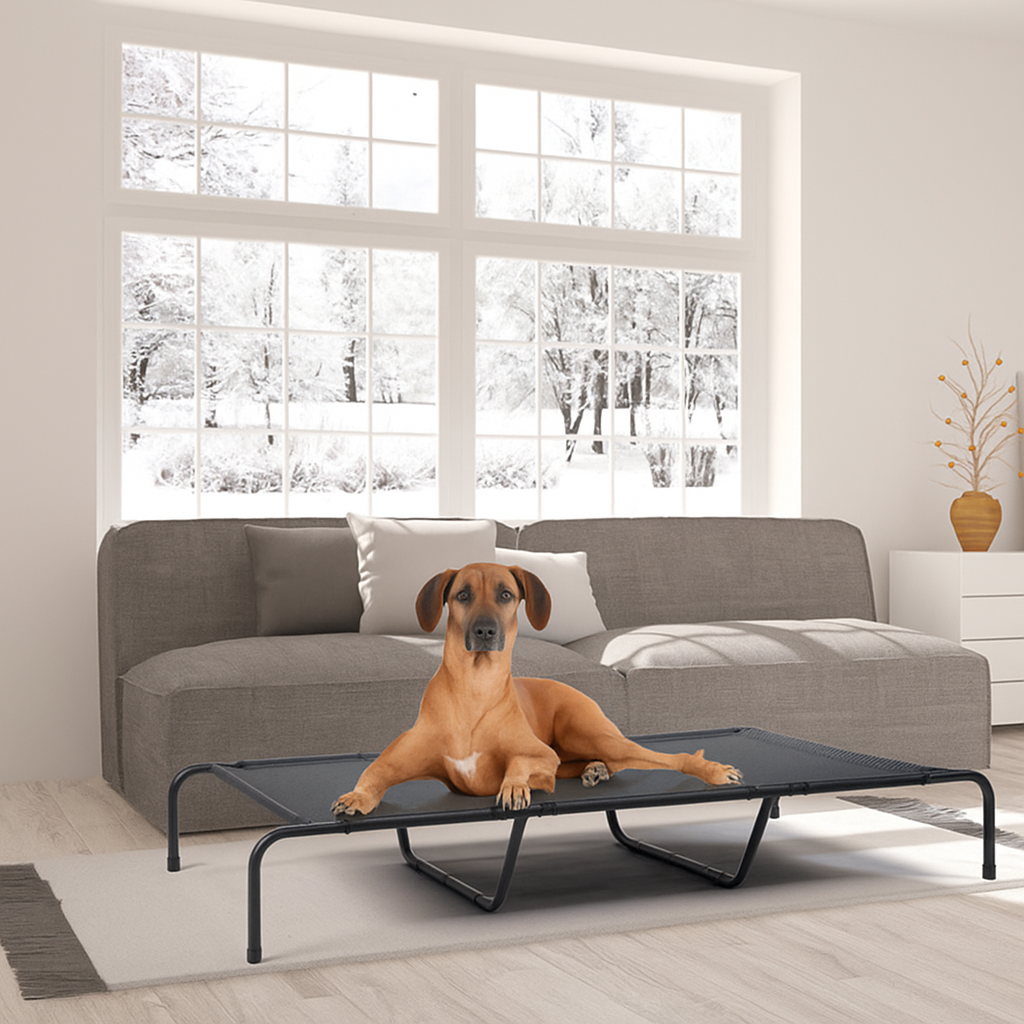 Pet Beds