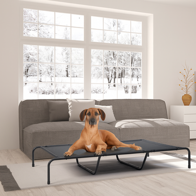 Pet Beds