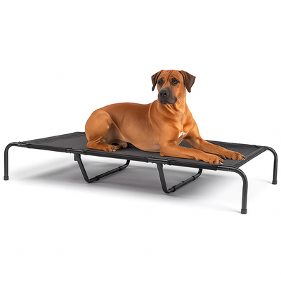 Pet Beds