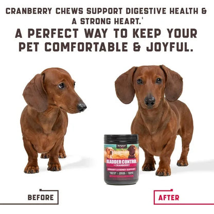 180 Cranberry Chews Dog Cranberry Supplement Natural Aid