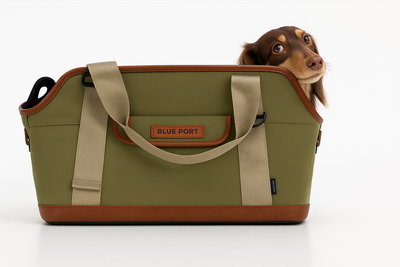 Pet Outdoor Backpack Small Cat Dog