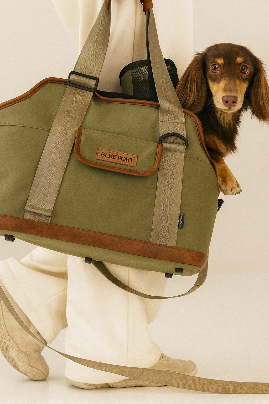 Pet Outdoor Backpack Small Cat Dog